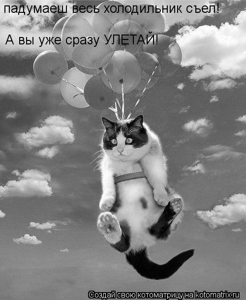 Котоматрица: падумаеш весь холодильник съел! А вы уже сразу УЛЕТАЙ!