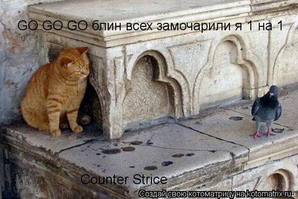 Котоматрица: Counter Strice GO GO GO блин всех замочарили я 1 на 1