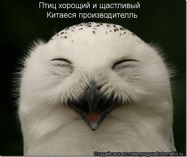 Котоматрица: Птиц хорощий и щастливый  Китаеся производителль