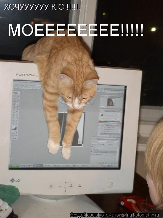 Котоматрица: ХОЧУУУУУУ К.С.!!!!!! МОЕЕЕЕЕЕЕЕ!!!!!