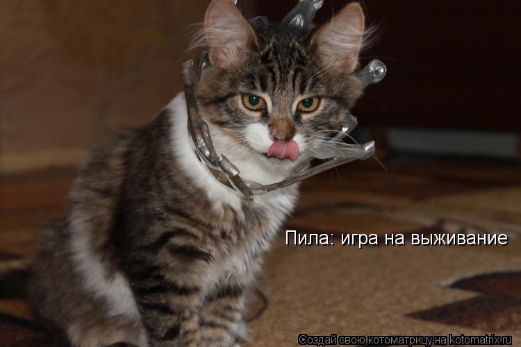 Котоматрица: Пила: игра на выживание