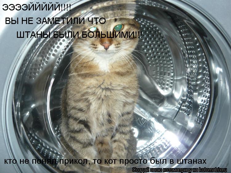Котоматрица: ЭЭЭЭЙЙЙЙЙ!!!! ВЫ НЕ ЗАМЕТИЛИ ЧТО  ШТАНЫ БЫЛИ БОЛЬШИМИ!!! кто не понял прикол, то кот просто был в штанах