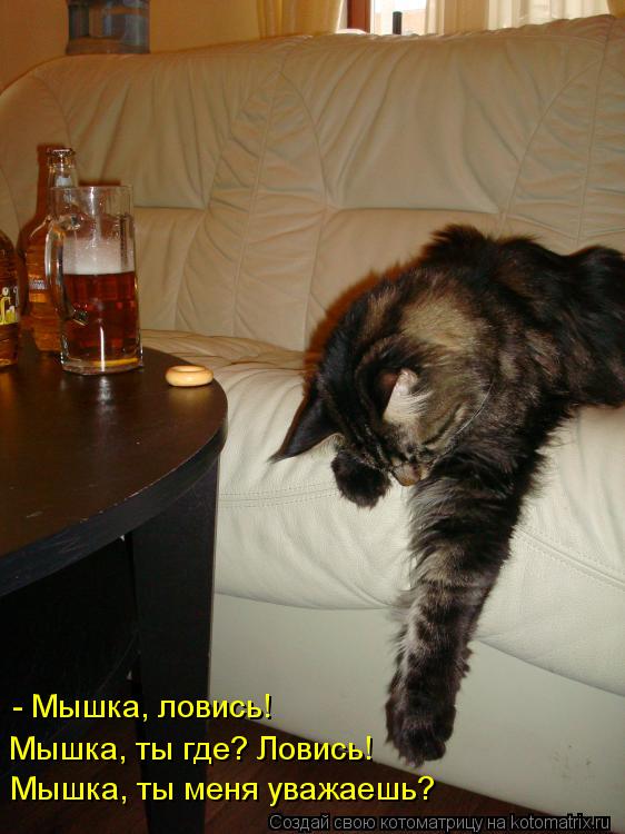 Мышка, ты где? Ловись! - Мышка, ловись! Мышка, ты меня уважаешь?... Котоматрица: Мышка, ты где? Ловись! - Мышка, ловись! Мышка, ты меня уважаешь?