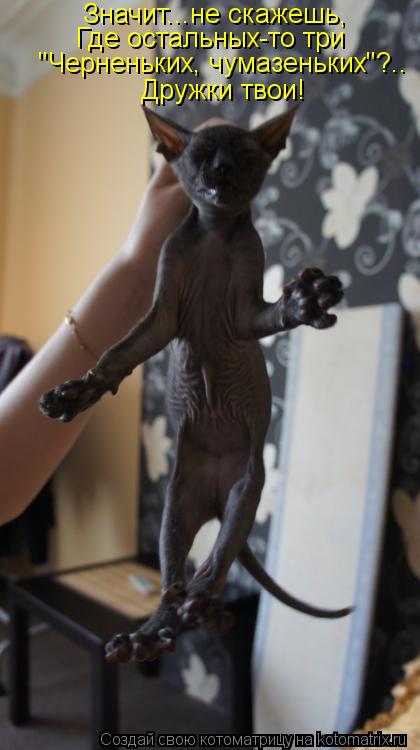 Где остальных-то три Значит...не скажешь, Дружки твои! "Черненьких, чумазеньких"?..... Котоматрица: Где остальных-то три Значит...не скажешь, Дружки твои! "Черненьких, чумазеньких"?..