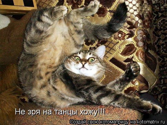 Не зря на танцы хожу!!!... Котоматрица: Не зря на танцы хожу!!!