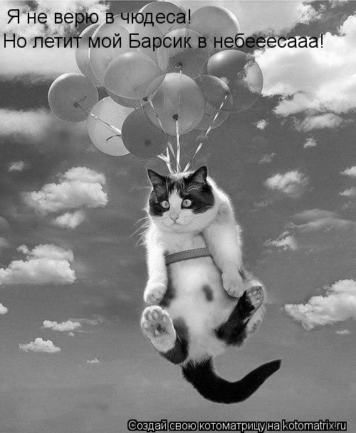 Я не верю в чюдеса! Но летит мой Барсик в небееесааа!... Котоматрица: Я не верю в чюдеса! Но летит мой Барсик в небееесааа!