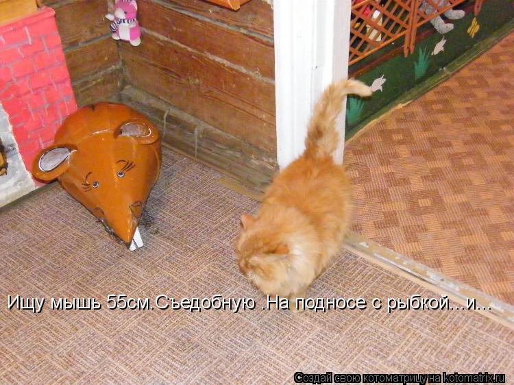 Ищу мышь 55см.Съедобную .На подносе с рыбкой...и...... Котоматрица: Ищу мышь 55см.Съедобную .На подносе с рыбкой...и...