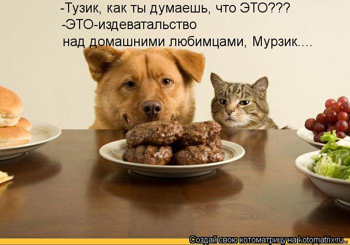 -Тузик, как ты думаешь, что ЭТО??? -ЭТО-издеватальство над домашними любимцами, Мурзик....... Котоматрица: -Тузик, как ты думаешь, что ЭТО??? -ЭТО-издеватальство над домашними любимцами, Мурзик....
