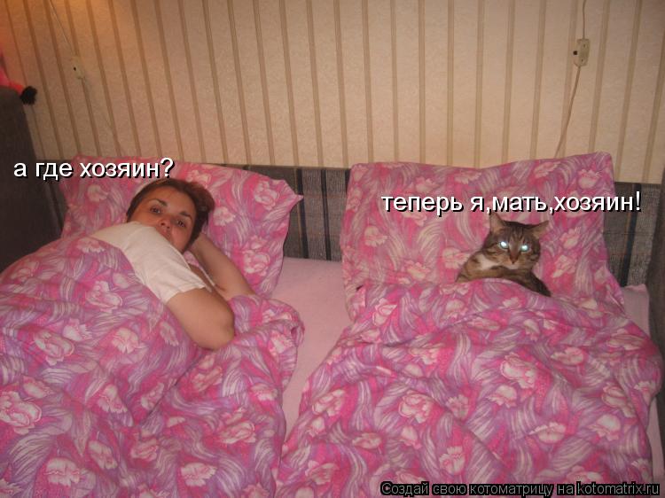 а где хозяин? теперь я,мать,хозяин!... Котоматрица: а где хозяин? теперь я,мать,хозяин!