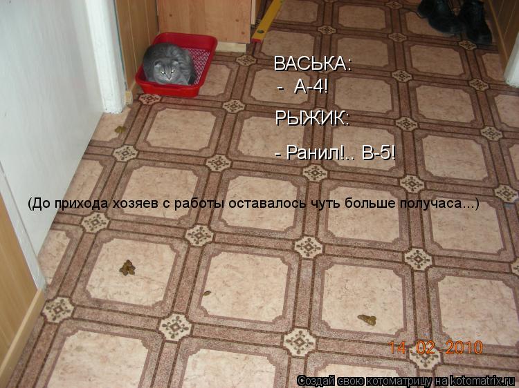 Котоматрица: ВАСЬКА: -  А-4! РЫЖИК: - Ранил!.. В-5! (До прихода хозяев с работы оставалось чуть больше получаса...)
