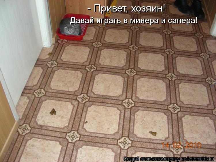 Котоматрица: - Привет, хозяин! Давай играть в минера и сапера!
