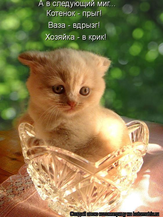 Котоматрица: Котенок - прыг! Ваза - вдрызг! А в следующий миг... Хозяйка - в крик!