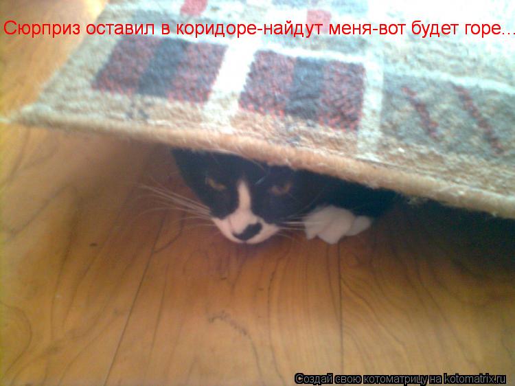 Котоматрица: Сюрприз оставил в коридоре-найдут меня-вот будет горе... Сюрприз оставил в коридоре-найдут меня-вот будет горе...