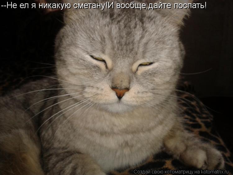 Котоматрица: --Не ел я никакую сметану!И вообще,дайте поспать!