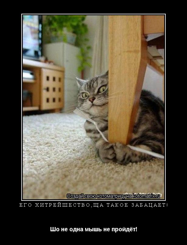Его хитрейшество,ща такое забацает! Шо не одна мышь не пройдёт!... Котоматрица: Его хитрейшество,ща такое забацает! Шо не одна мышь не пройдёт!
