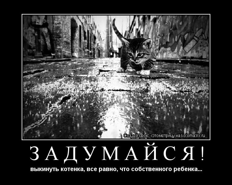 ЗАДУМАЙСЯ! выкинуть котенка, все равно, что собственного ребенка...... Котоматрица: ЗАДУМАЙСЯ! выкинуть котенка, все равно, что собственного ребенка...