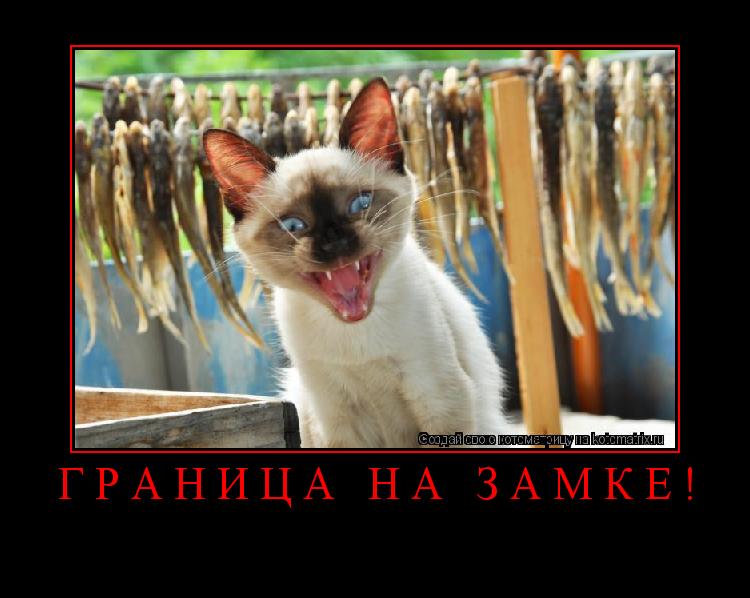 ГРАНИЦА НА ЗАМКЕ! ... Котоматрица: ГРАНИЦА НА ЗАМКЕ!