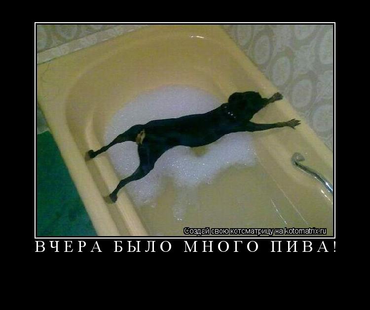 Вчера было много ПИВА! ... Котоматрица: Вчера было много ПИВА!