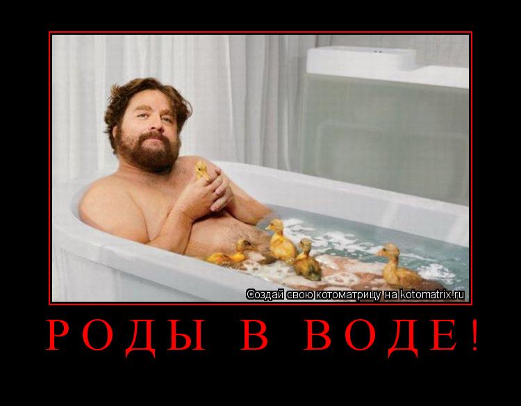 ... Котоматрица: