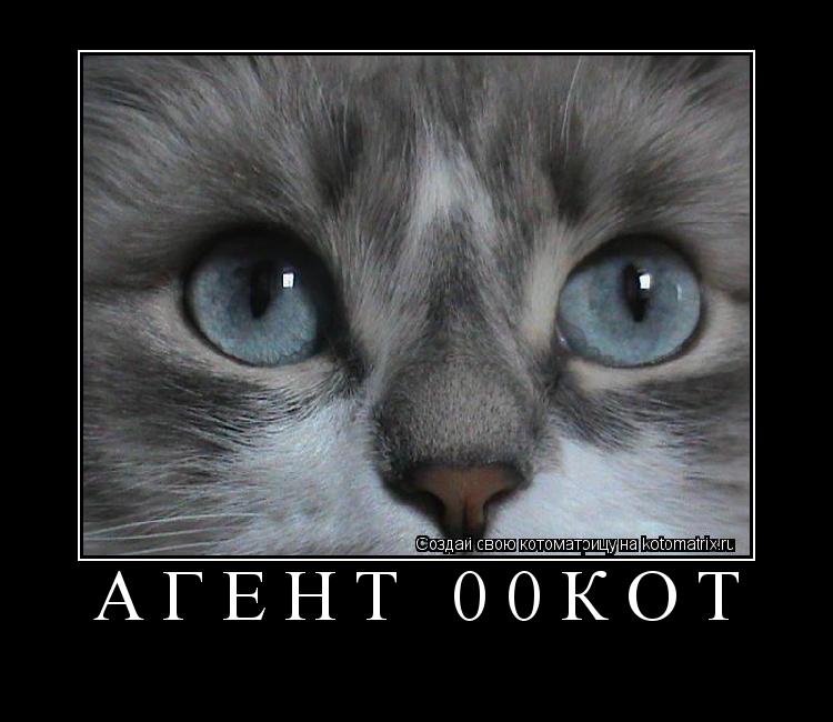 АГЕНТ 00кот ... Котоматрица: АГЕНТ 00кот