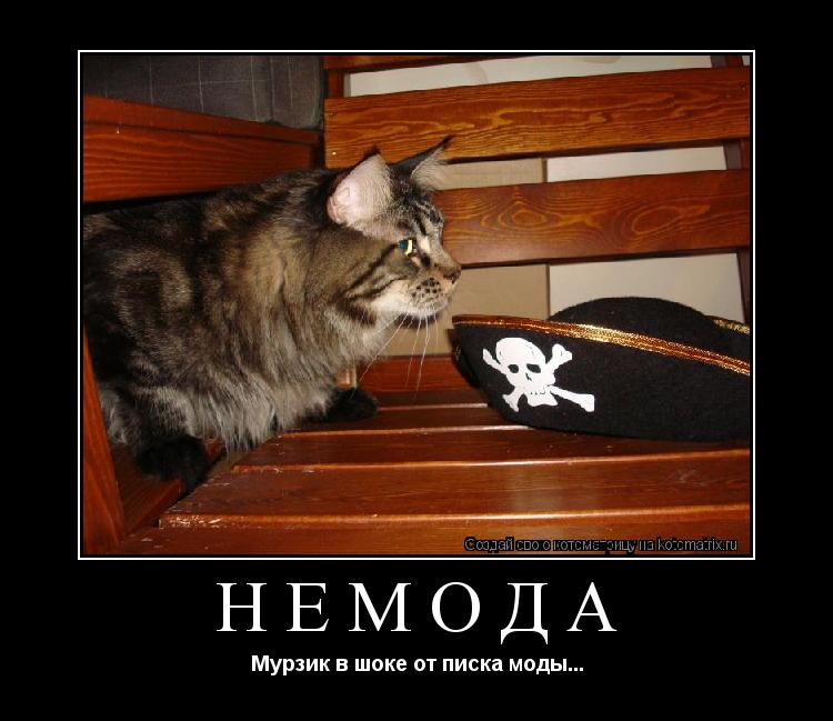 Котоматрица: НЕмода Мурзик в шоке от писка моды...