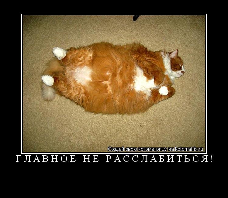 ГЛАВНОЕ НЕ РАССЛАБИТЬСЯ! ... Котоматрица: ГЛАВНОЕ НЕ РАССЛАБИТЬСЯ!