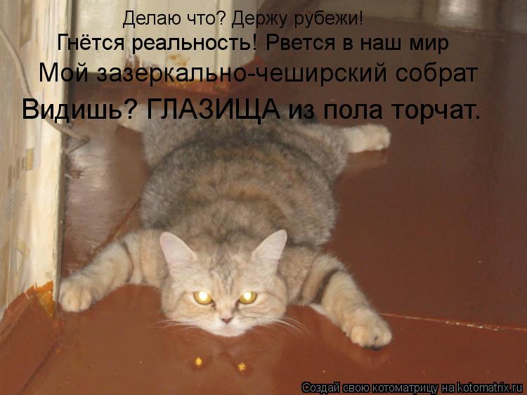 Котоматрица: Делаю что? Держу рубежи! Гнётся реальность! Рвется в наш мир Мой зазеркально-чеширский собрат Видишь? ГЛАЗИЩА из пола торчат…