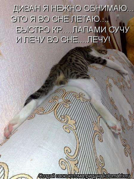Котоматрица: ДИВАН Я НЕЖНО ОБНИМАЮ.... ЭТО Я ВО СНЕ ЛЕТАЮ.... БЫСТРО КР.....ЛАПАМИ СУЧУ И ЛЕЧУ ВО СНЕ....ЛЕЧУ!
