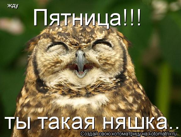 Котоматрица: Пятница!!! ты такая няшка... жду