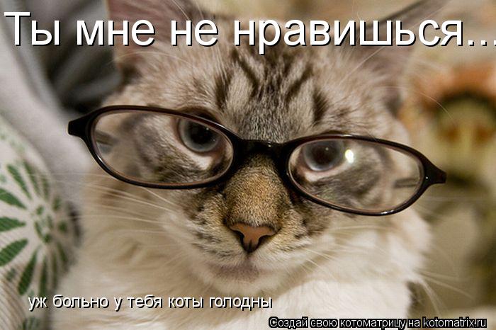 Котоматрица: Ты мне не нравишься... уж больно у тебя коты голодны