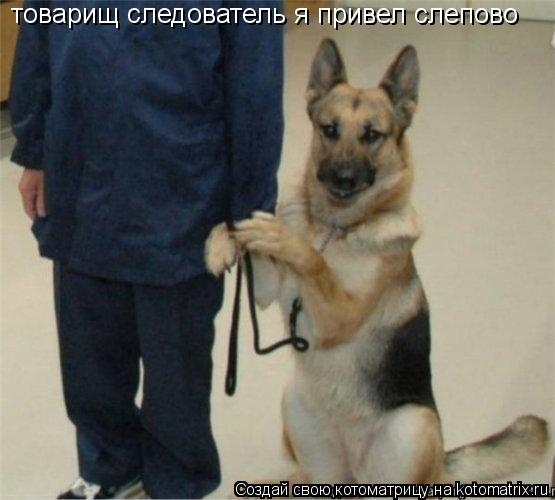 Котоматрица: товарищ следователь я привел слепово