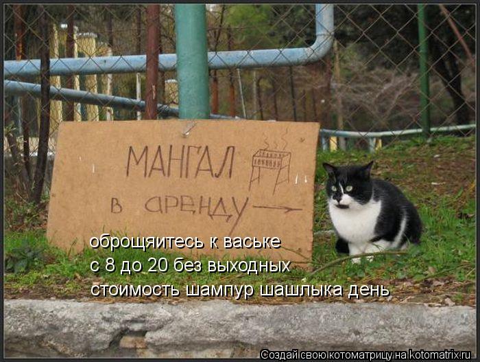Котоматрица: оброщяитесь к ваське  с 8 до 20 без выходных  стоимость шампур шашлыка день