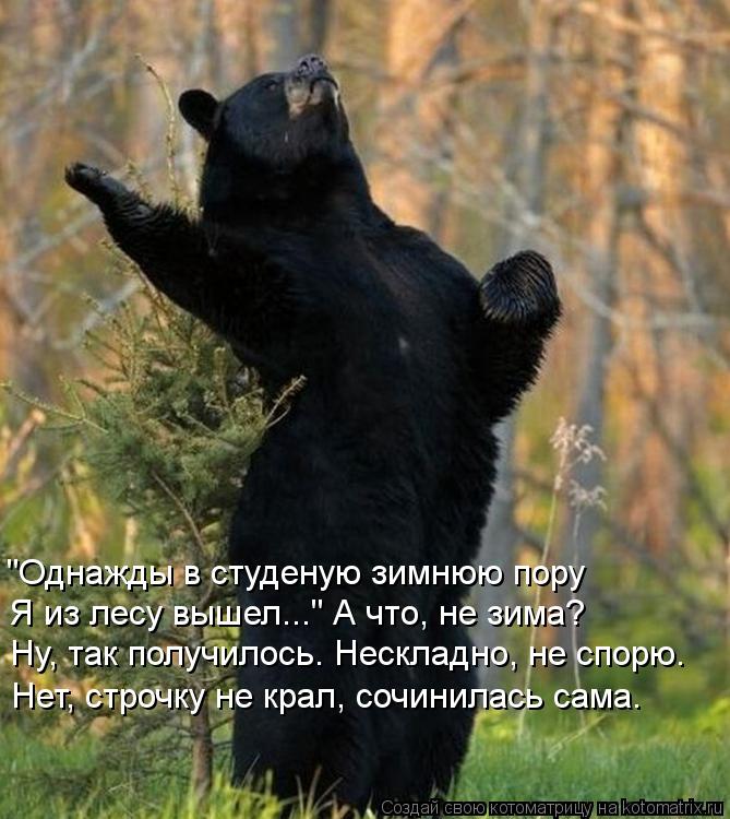 "Однажды в студеную зимнюю пору Я из лесу вышел..." А что, не зима? Ну, так получилось. Нескладно, не... Котоматрица: "Однажды в студеную зимнюю пору Я из лесу вышел..." А что, не зима? Ну, так получилось. Нескладно, не спорю. Нет, строчку не крал, сочинилась сама