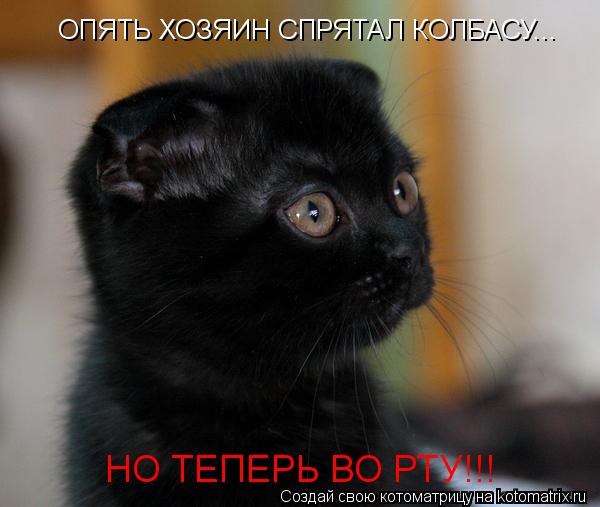 Котоматрица: ОПЯТЬ ХОЗЯИН СПРЯТАЛ КОЛБАСУ... НО ТЕПЕРЬ ВО РТУ!!!
