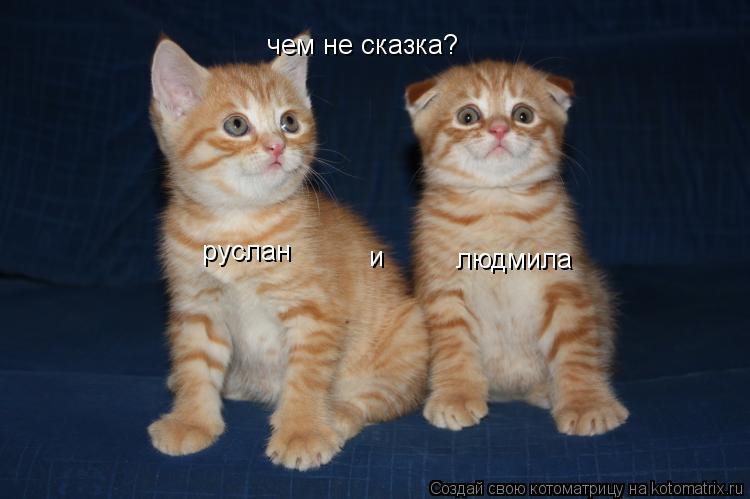Котоматрица: руслан и людмила чем не сказка?