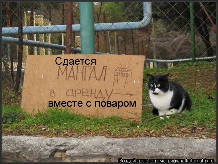 Котоматрица: Сдается вместе с поваром вместе с поваром