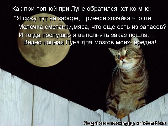 Котоматрица: Как при полной при Луне обратился кот ко мне: "Я сижу тут на заборе, принеси хозяйка что ли Молочка,сметанки,мяса, что еще есть из запасов?" И т