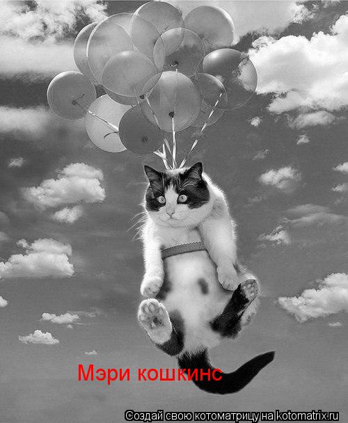 Котоматрица: Мэри кошкинс