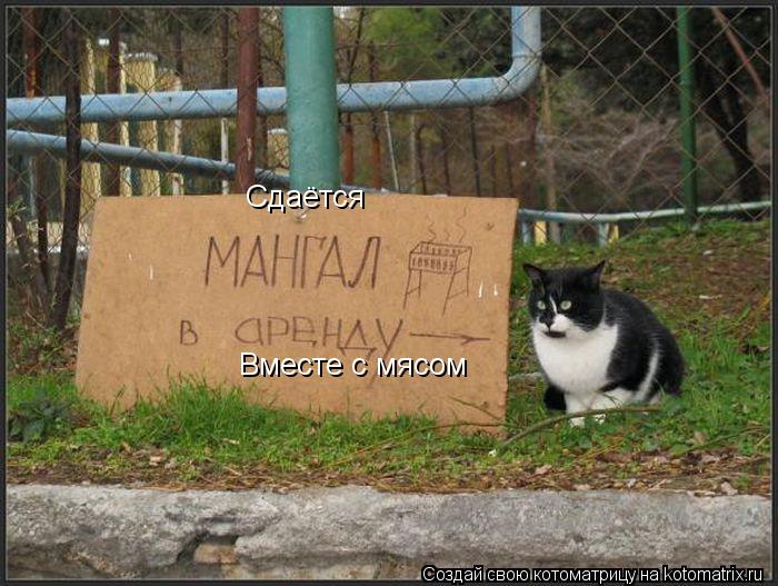 Котоматрица: Сдаётся  Вместе с мясом
