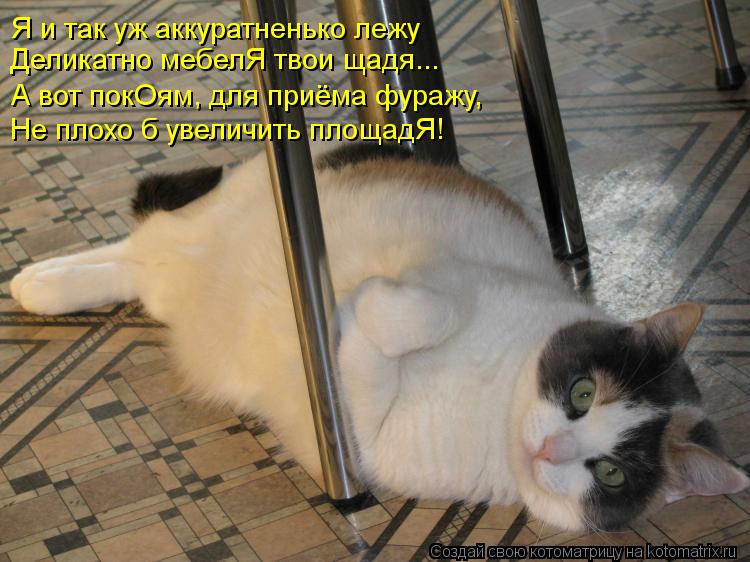 Деликатно мебелЯ твои щадя... Я и так уж аккуратненько лежу Не плохо б увеличить площадЯ! А вот покОя... Котоматрица: Деликатно мебелЯ твои щадя... Я и так уж аккуратненько лежу Не плохо б увеличить площадЯ! А вот покОям, для приёма фуражу,