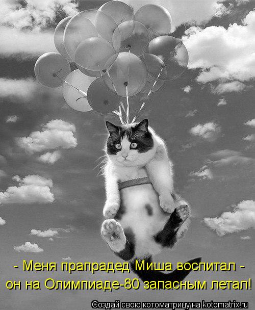 - Меня прапрадед Миша воспитал - он на Олимпиаде-80 запасным летал!... Котоматрица: - Меня прапрадед Миша воспитал - он на Олимпиаде-80 запасным летал!