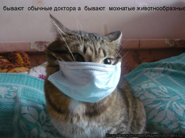 Котоматрица: бывают  обычные доктора а  бывают  мохнатые животнообразные
