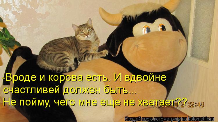 Котоматрица: -Вроде и корова есть. И вдвойне  счастливей должен быть... Не пойму, чего мне еще не хватает??