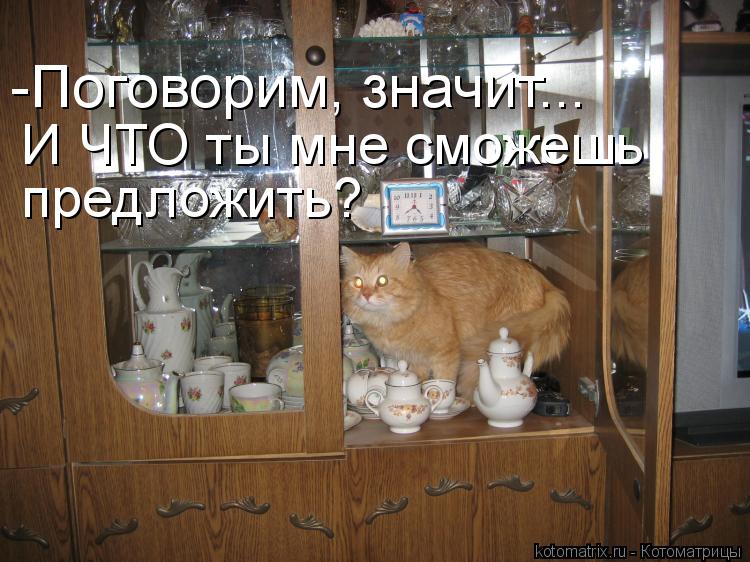 Котоматрица: -Поговорим, значит... И ЧТО ты мне сможешь  предложить?
