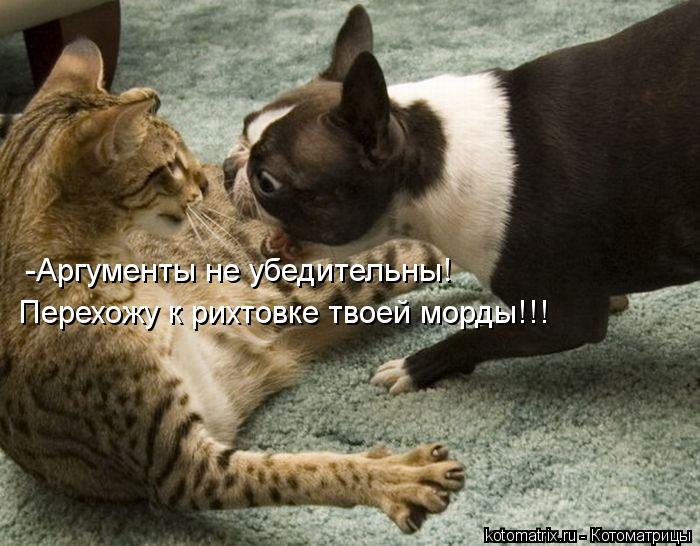 Котоматрица: -Аргументы не убедительны! Перехожу к рихтовке твоей морды!!!