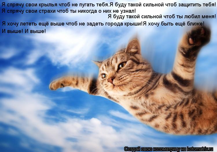 Котоматрица: Я спрячу свои крылья чтоб не пугать тебя.Я буду такой сильной чтоб защитить тебя! Я спрячу свои страхи чтоб ты никогда о них не узнал! Я буду 