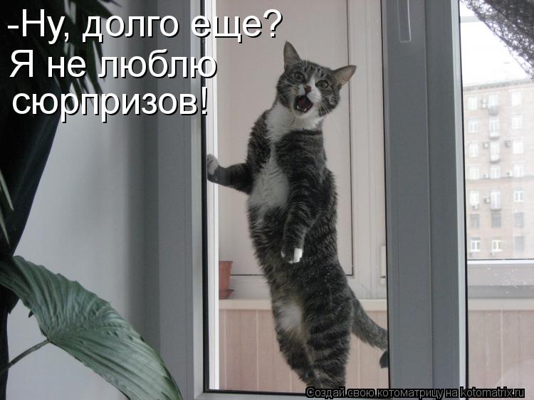 Котоматрица: -Ну, долго еще? Я не люблю  сюрпризов!