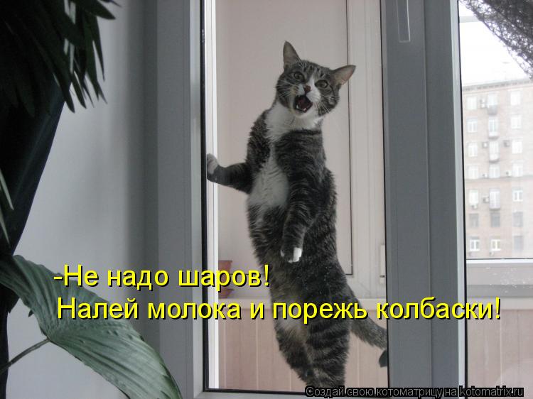Котоматрица: -Не надо шаров! Налей молока и порежь колбаски!