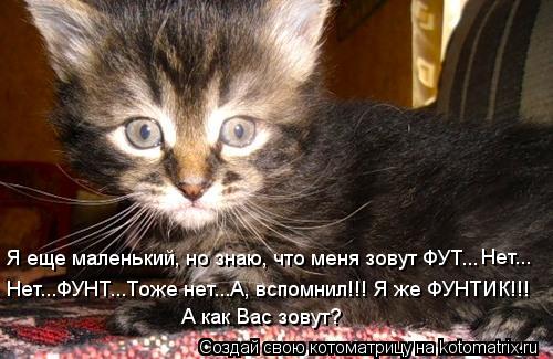 Котоматрица: Я еще маленький, но знаю, что меня зовут ФУТ...нет...ФУНТ...Тоже нет...А, вспомнил!!! Я же ФУНТИК!!! А как Вас зовут? Я еще маленький, но знаю, что ме