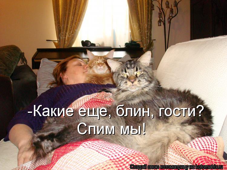 Котоматрица: -Какие еще, блин, гости? Спим мы!